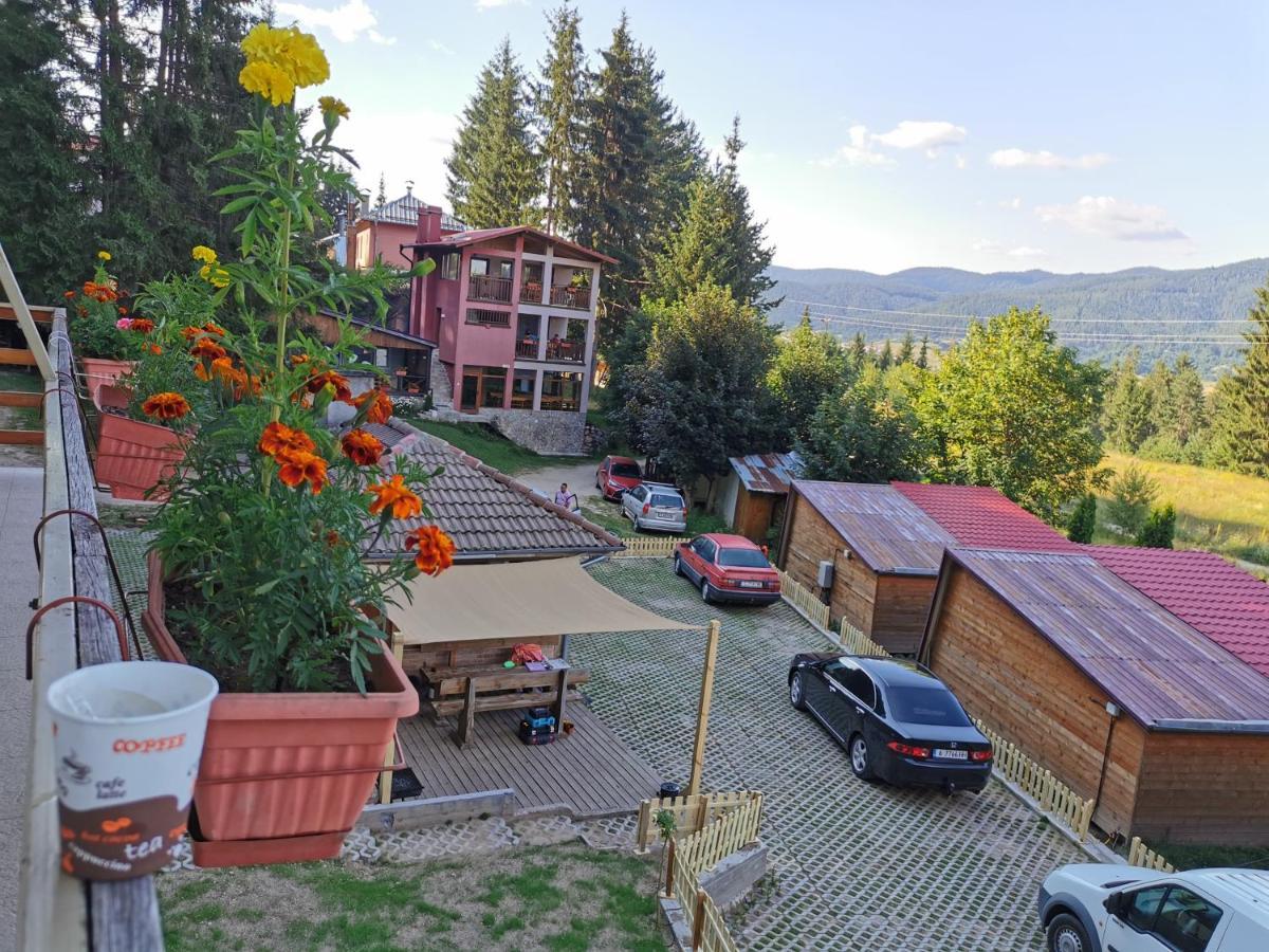 Orlino Holiday Park Sărniţa Exterior foto